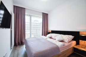 Apartament Rogowo 117L